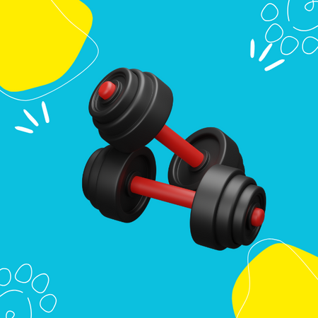Deportes y Fitness