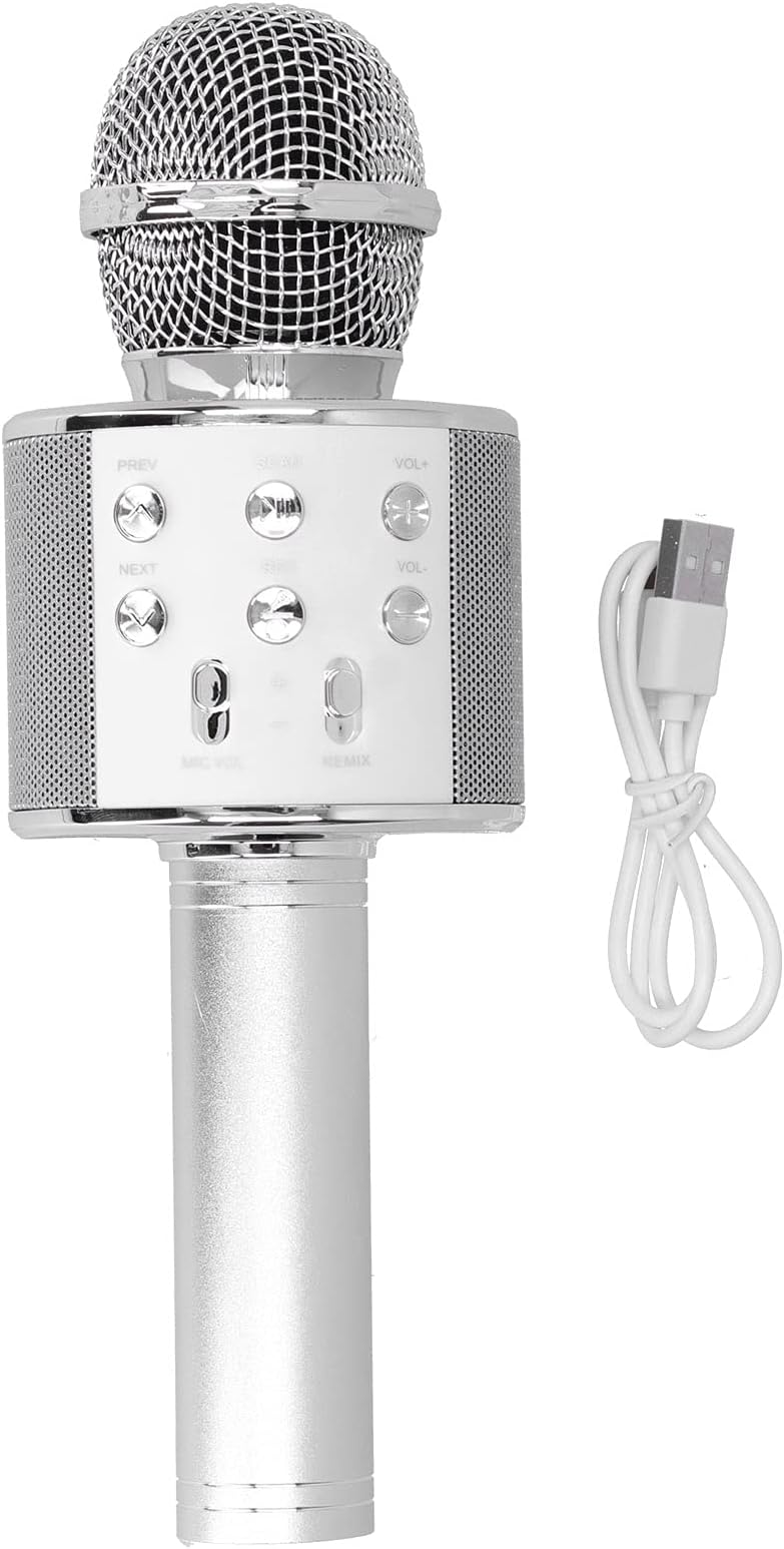 MICROFONO DE KARAOKE